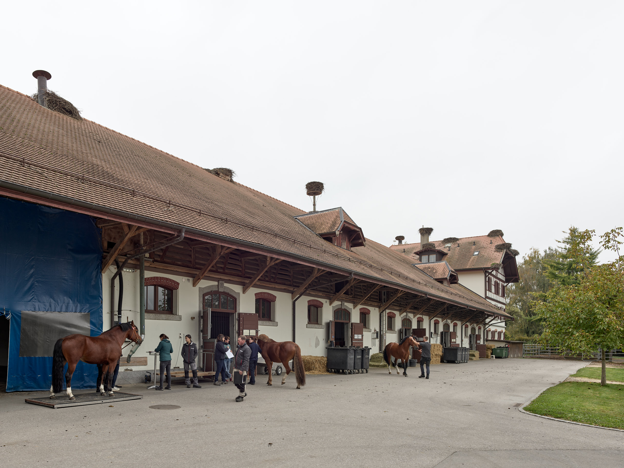 Haras National